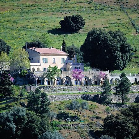 Moltifao La Ventulella B&B 외부 사진