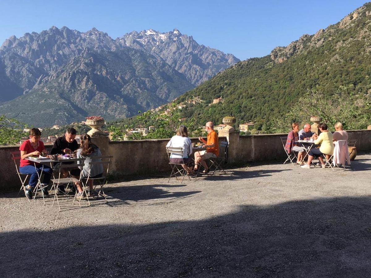 Moltifao La Ventulella B&B 외부 사진
