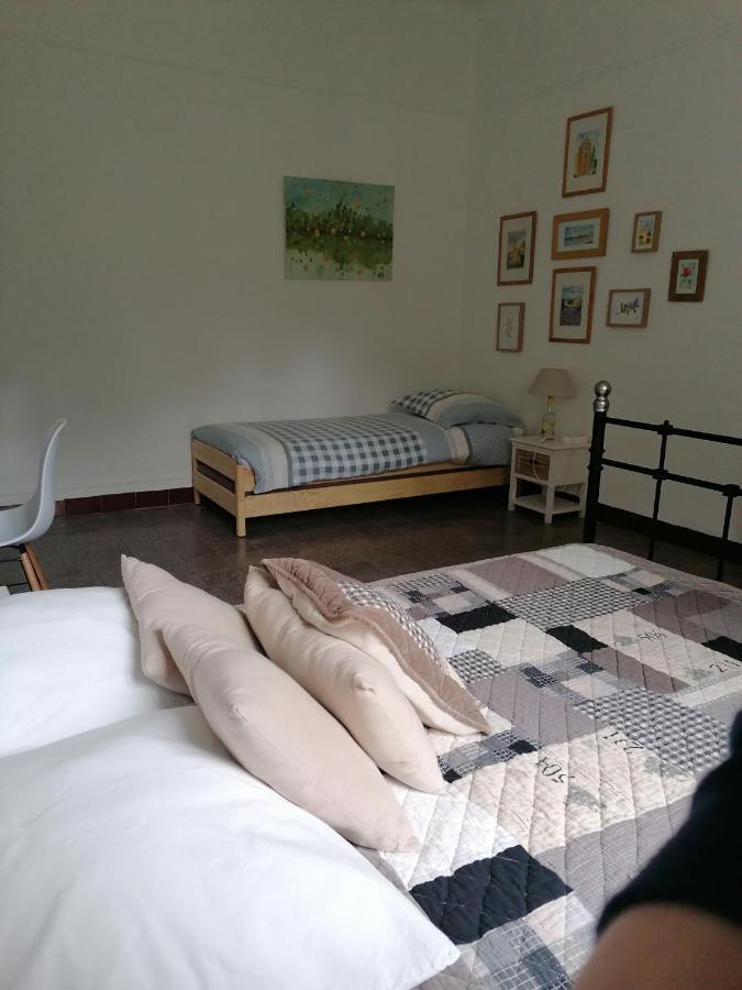 Moltifao La Ventulella B&B 외부 사진