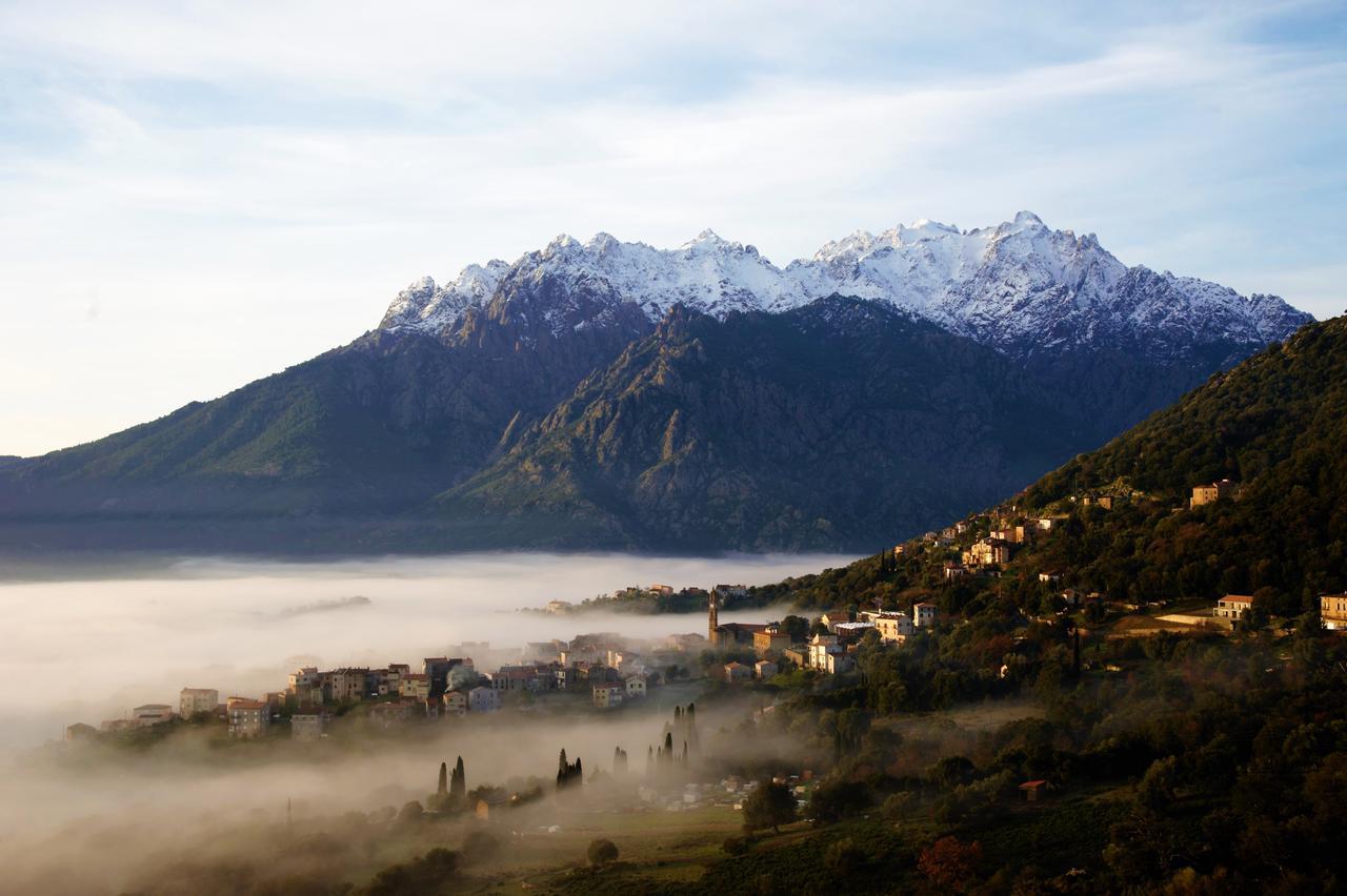 Moltifao La Ventulella B&B 외부 사진