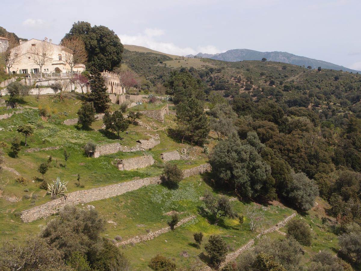 Moltifao La Ventulella B&B 외부 사진