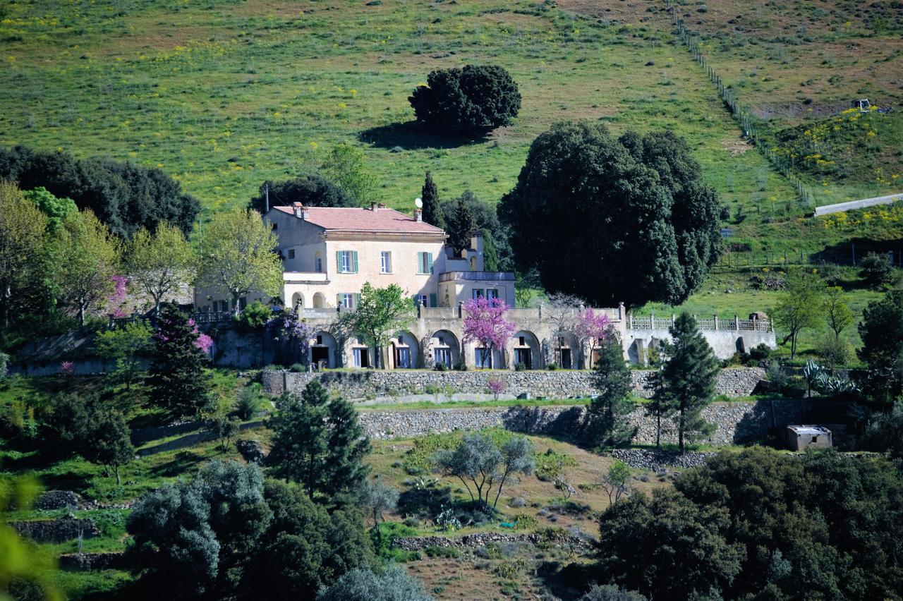 Moltifao La Ventulella B&B 외부 사진